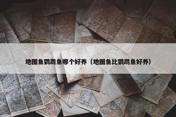地图鱼鹦鹉鱼哪个好养（地图鱼比鹦鹉鱼好养）