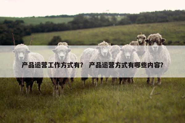 产品运营工作方式有？ 产品运营方式有哪些内容？