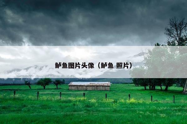 鲈鱼图片头像（鲈鱼 照片）