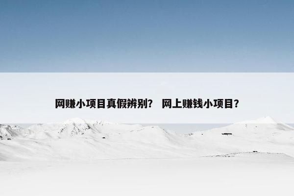 网赚小项目真假辨别？ 网上赚钱小项目？