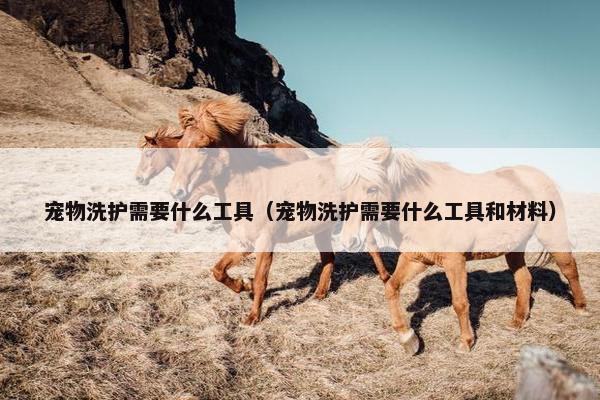宠物洗护需要什么工具（宠物洗护需要什么工具和材料）