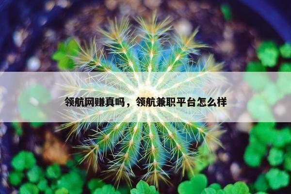 领航网赚真吗，领航兼职平台怎么样