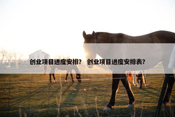创业项目进度安排？ 创业项目进度安排表？