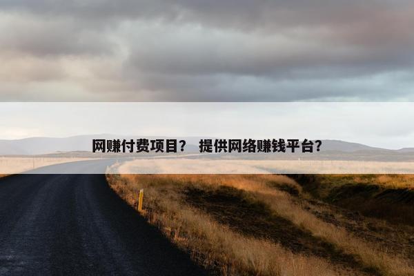 网赚付费项目？ 提供网络赚钱平台？