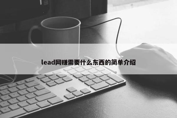 lead网赚需要什么东西的简单介绍