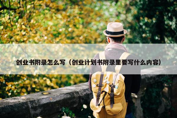 创业书附录怎么写（创业计划书附录里要写什么内容）