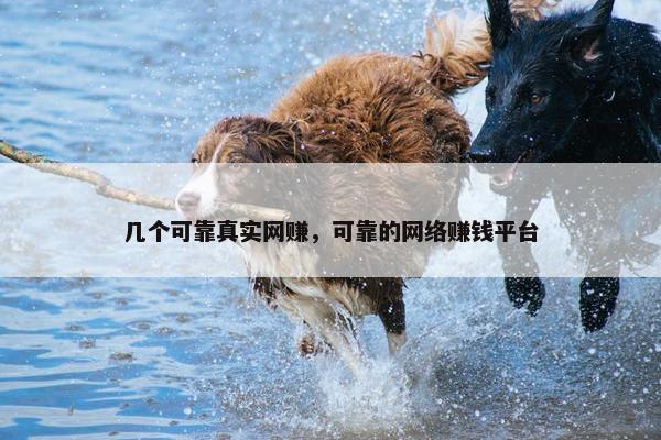 几个可靠真实网赚，可靠的网络赚钱平台