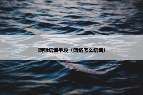 网赚培训手段（网络怎么培训）