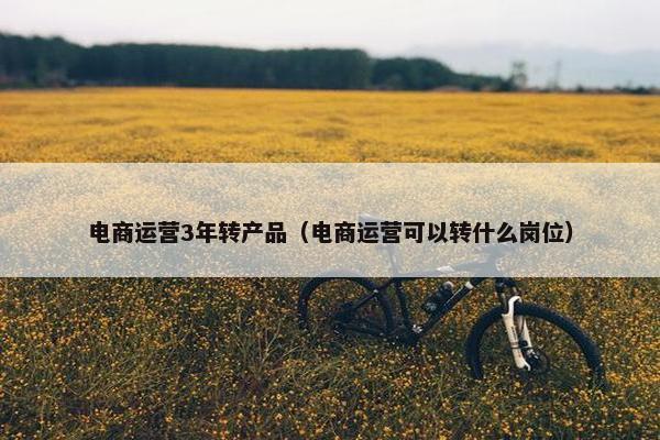 电商运营3年转产品（电商运营可以转什么岗位）