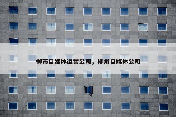 柳市自媒体运营公司，柳州自媒体公司