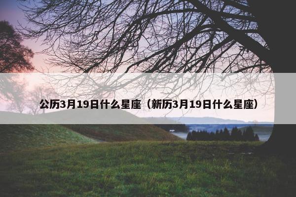 公历3月19日什么星座（新历3月19日什么星座）