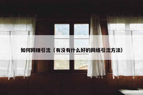 如何网赚引流（有没有什么好的网络引流方法）