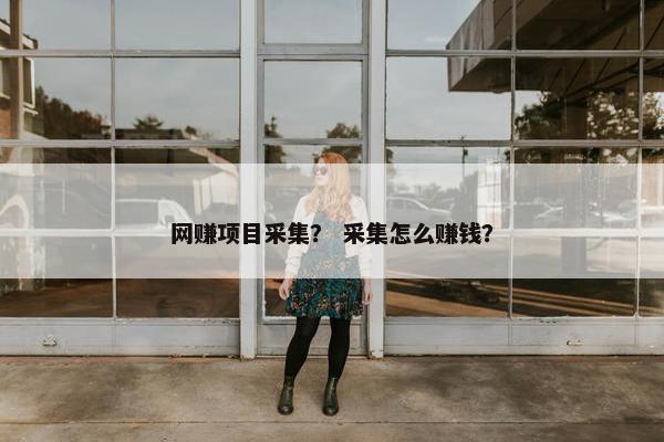 网赚项目采集？ 采集怎么赚钱？