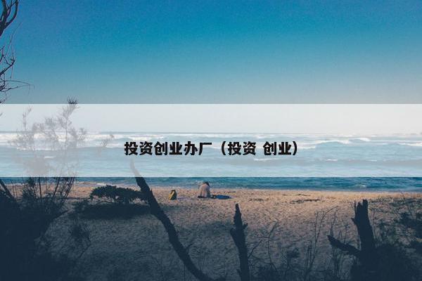 投资创业办厂（投资 创业）