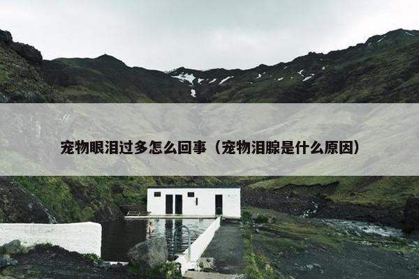 宠物眼泪过多怎么回事（宠物泪腺是什么原因）