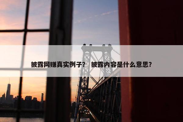披露网赚真实例子？ 披露内容是什么意思？