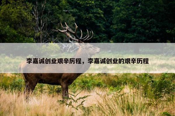 李嘉诚创业艰辛厉程，李嘉诚创业的艰辛历程