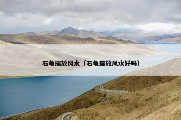 石龟摆放风水（石龟摆放风水好吗）