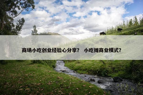 商场小吃创业经验心分享？ 小吃摊商业模式？