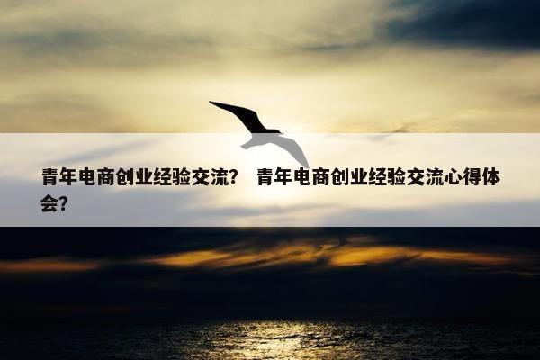 青年电商创业经验交流？ 青年电商创业经验交流心得体会？