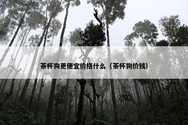 茶杯狗更便宜价格什么（茶杯狗价钱）