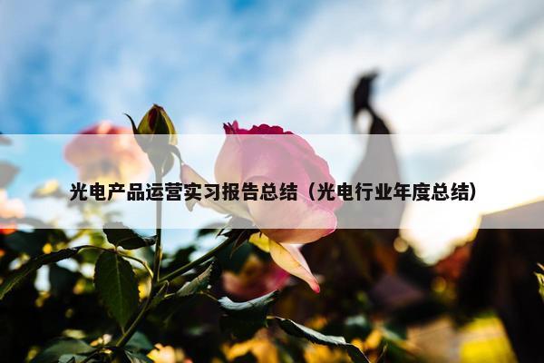 光电产品运营实习报告总结（光电行业年度总结）