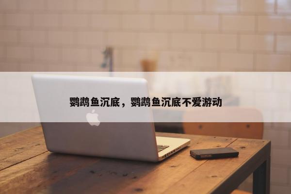 鹦鹉鱼沉底，鹦鹉鱼沉底不爱游动
