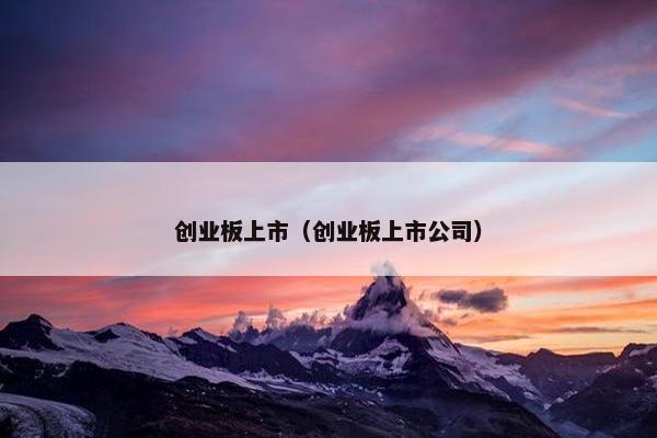 创业板上市（创业板上市公司）