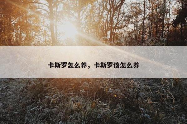卡斯罗怎么养，卡斯罗该怎么养
