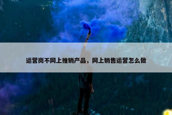 运营岗不网上推销产品，网上销售运营怎么做