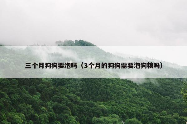 三个月狗狗要泡吗（3个月的狗狗需要泡狗粮吗）
