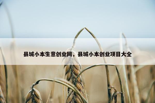 县城小本生意创业网，县城小本创业项目大全