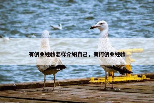 有创业经验怎样介绍自己，有何创业经验