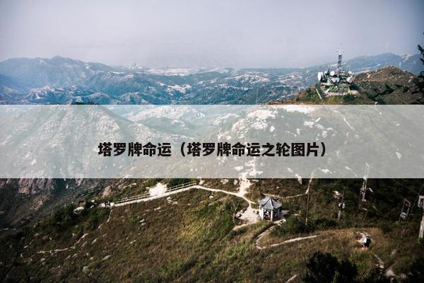 塔罗牌命运（塔罗牌命运之轮图片）