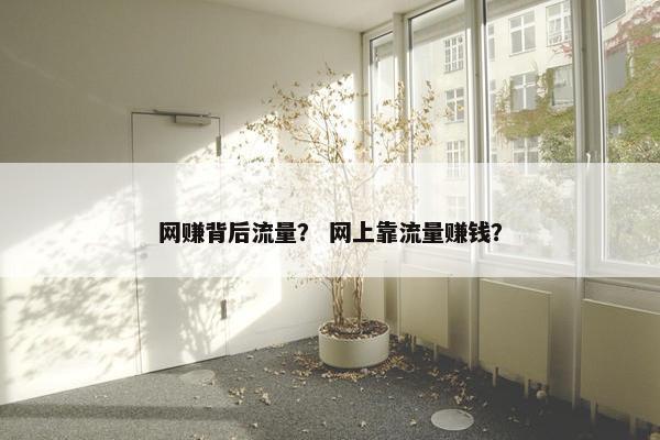 网赚背后流量？ 网上靠流量赚钱？