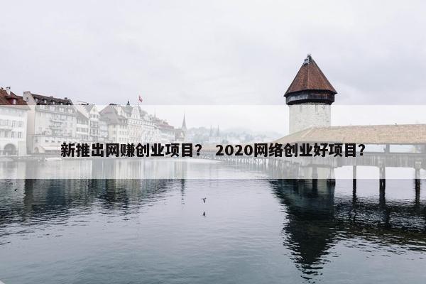 新推出网赚创业项目？ 2020网络创业好项目？