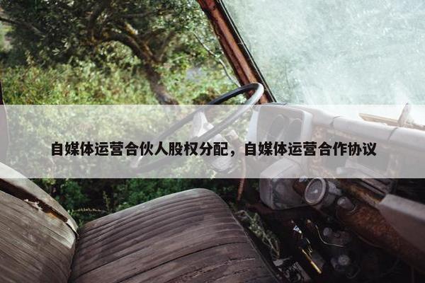 自媒体运营合伙人股权分配，自媒体运营合作协议