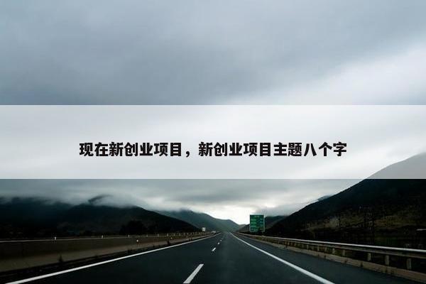 现在新创业项目，新创业项目主题八个字