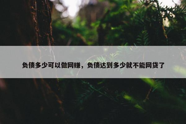 负债多少可以做网赚，负债达到多少就不能网贷了