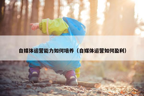自媒体运营能力如何培养（自媒体运营如何盈利）