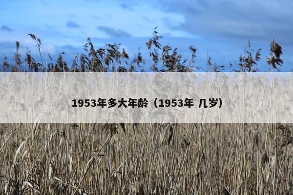 1953年多大年龄（1953年 几岁）