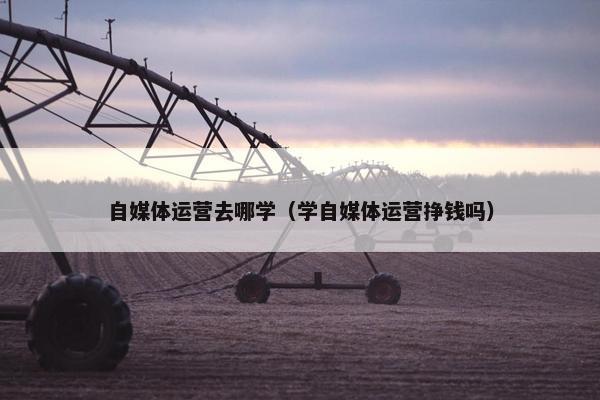 自媒体运营去哪学（学自媒体运营挣钱吗）