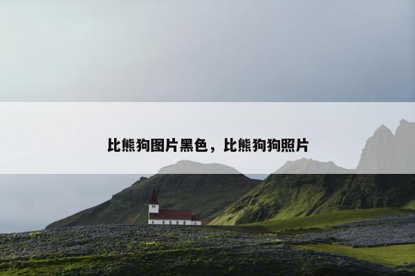 比熊狗图片黑色，比熊狗狗照片