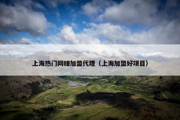 上海热门网赚加盟代理（上海加盟好项目）