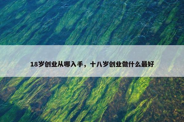 18岁创业从哪入手，十八岁创业做什么最好