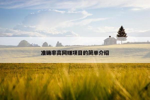 准确率高网赚项目的简单介绍