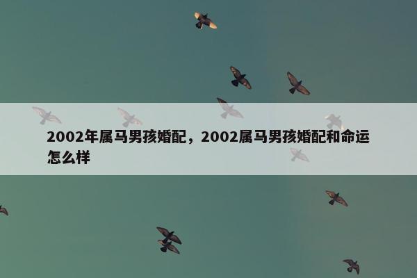 2002年属马男孩婚配，2002属马男孩婚配和命运怎么样