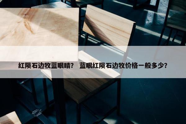 红陨石边牧蓝眼睛？ 蓝眼红陨石边牧价格一般多少？