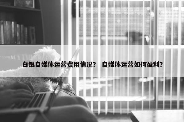 白银自媒体运营费用情况？ 自媒体运营如何盈利？