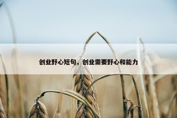 创业野心短句，创业需要野心和能力